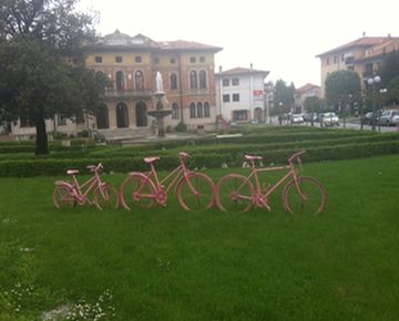 bici in rosa